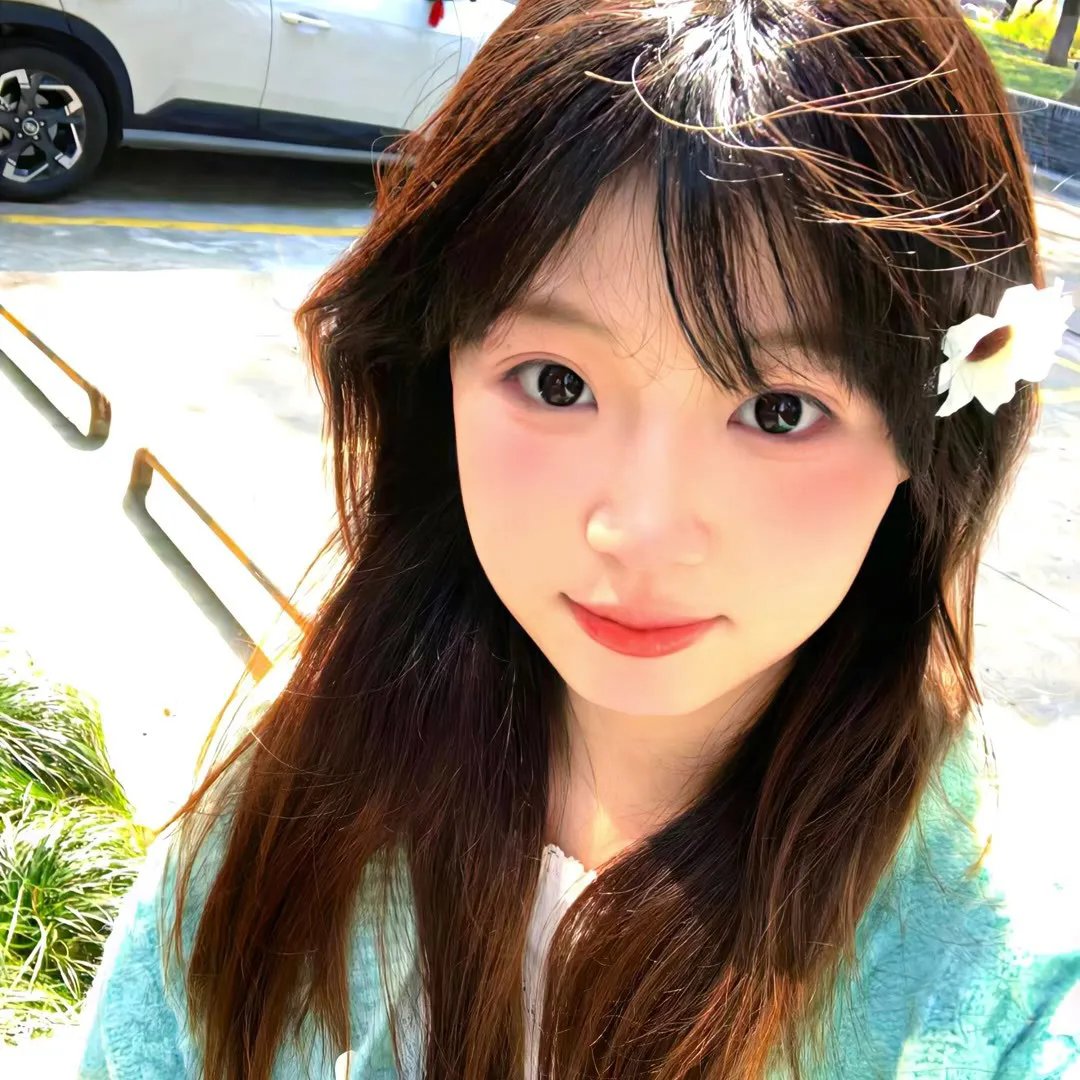 我的心里住着一只猫 封面